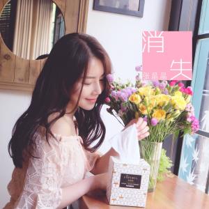 Dengarkan lagu 消失 nyanyian 张晶晶 dengan lirik