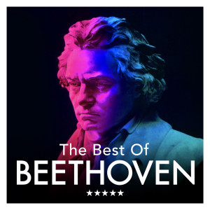 Listen to Piano Sonata No. 21 in C Major, Op. 53 "Waldstein": II. Introduzione - Adagio molto song with lyrics from Robert Taub