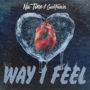 Listen to Way I Feel song with lyrics from Nu Tone
