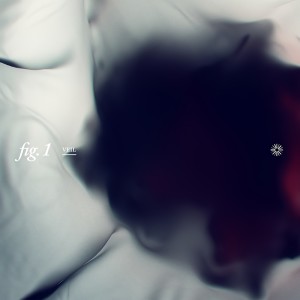 Album fig.1 -veil- from 