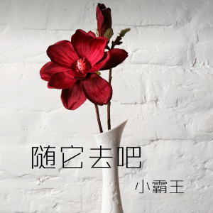 Dengarkan lagu 随它去吧 nyanyian 小霸王 dengan lirik