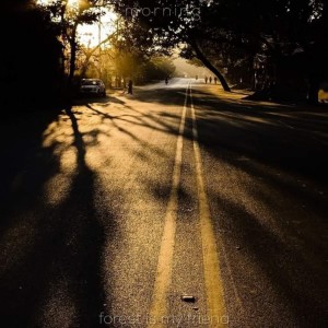 ดาวน์โหลดและฟังเพลง Morning พร้อมเนื้อเพลงจาก forest is my friend