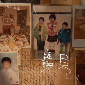 Listen to 宝贝 (feat. Lily) song with lyrics from 卢华