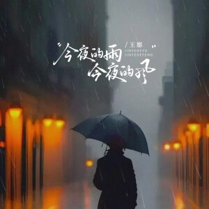 Album 今夜的雨今夜的风 from 王娜