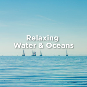 ดาวน์โหลดและฟังเพลง Dog Sleep พร้อมเนื้อเพลงจาก Ocean Sounds