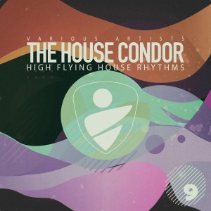 收听Mydiva的In Your Love (Sandrino House Mix)歌词歌曲