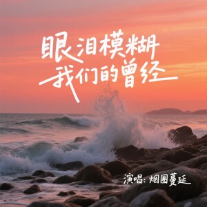 Album 眼泪模糊我们的曾经（DJ版） from 