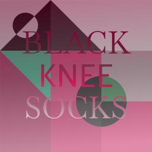 Listen to Black Knee Socks song with lyrics from Clyde Beaver
