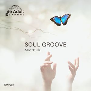 Album Soul Groove from Moe Turk