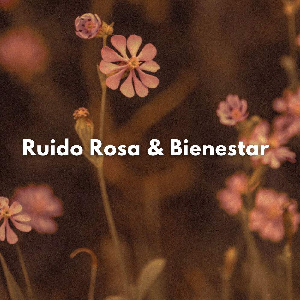 Melodías Plácidas De Ruido Rosa