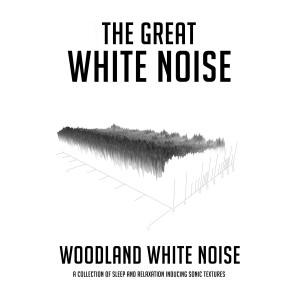 ดาวน์โหลดและฟังเพลง Gentle Roof Rain with 432 Hz White Noise พร้อมเนื้อเพลงจาก The Great White Noise