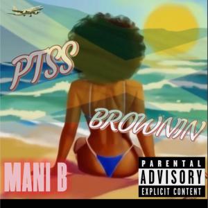 ดาวน์โหลดและฟังเพลง PTSS BROWNIN (Explicit) พร้อมเนื้อเพลงจาก Mani B