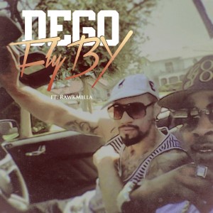 ดาวน์โหลดและฟังเพลง Fly By พร้อมเนื้อเพลงจาก Dego