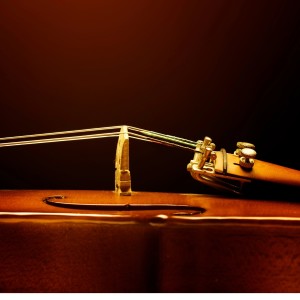 ดาวน์โหลดและฟังเพลง Soft Calm Brings Rest พร้อมเนื้อเพลงจาก Meridian Energy Healing