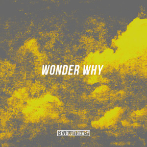 Album Wonder Why (Explicit) from Nick Cincotta
