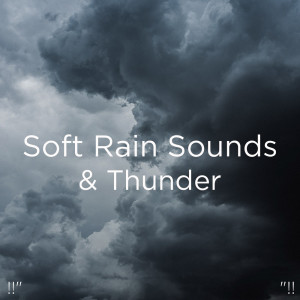 收听Meditation Rain Sounds的Suoni Rilassanti Della Pioggia歌词歌曲