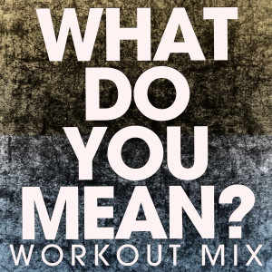 ดาวน์โหลดและฟังเพลง What Do You Mean? (Tropical Remix Extended) พร้อมเนื้อเพลงจาก Power Music Workout