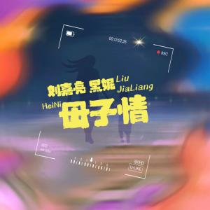 收听刘嘉亮的母子情 (伴奏)歌词歌曲