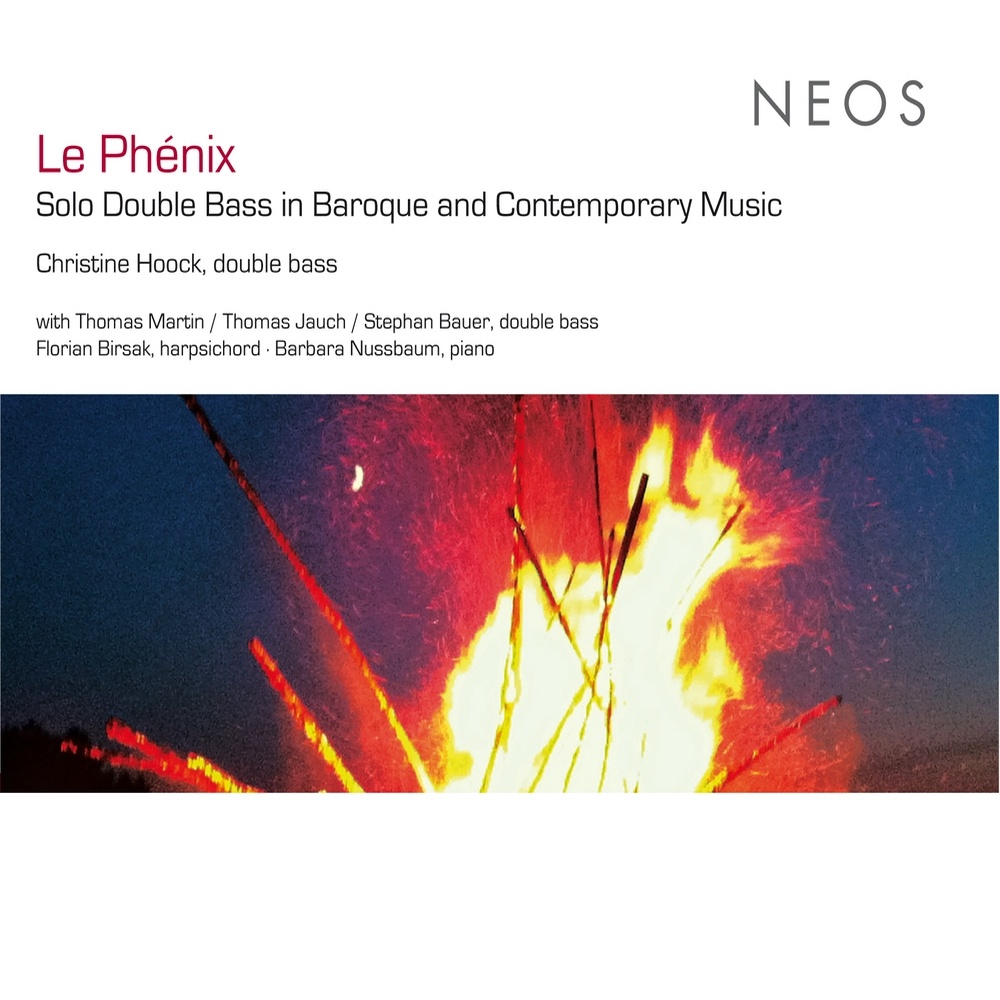 Trio Sonata in G Minor, Op. 2, No. 8, HWV 393: IV. Allegro (arr. for 2 double basses and basso continuo)