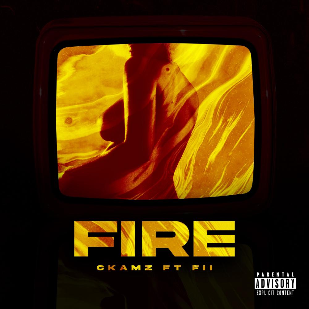 Fire (feat. Fii)