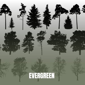 Listen to Evergreen song with lyrics from Kenny Rogers