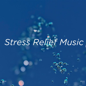 收聽Deep Sleep Music Collective的Binaural Beats For Sleep歌詞歌曲