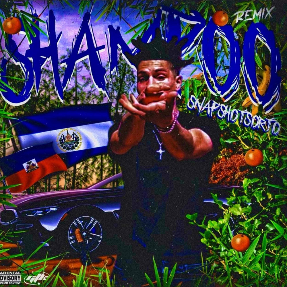 SHAMPOO (REMIX|Explicit)