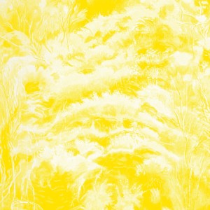 Swim Surreal的專輯Masquerade (Instrumental)