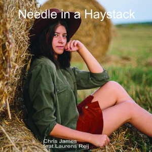 Chris James (US)的专辑Needle in a Haystack