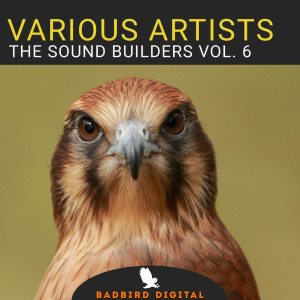 The Sound Builders, Vol. 6 dari Various Artists