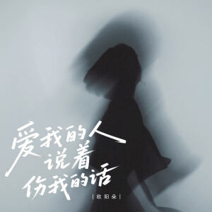 的专辑爱我的人说着伤我的话