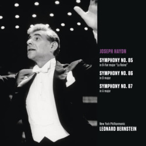 ดาวน์โหลดและฟังเพลง Symphony No. 86 in D Major, Hob. I:86: II. Capriccio. Largo พร้อมเนื้อเพลงจาก Leonard Bernstein