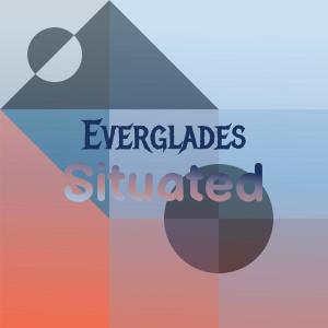 Various的专辑Everglades Situated