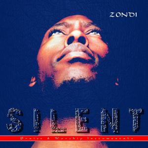 Zondi的专辑Silent