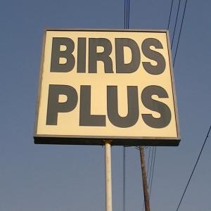 อัลบัม BIRDS PLUS (feat. Mr. Anderson) [Explicit] ศิลปิน MR. Anderson