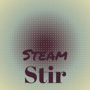 Various的专辑Steam Stir