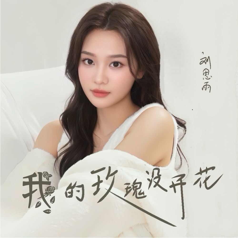 我的玫瑰没开花 (DJ版)
