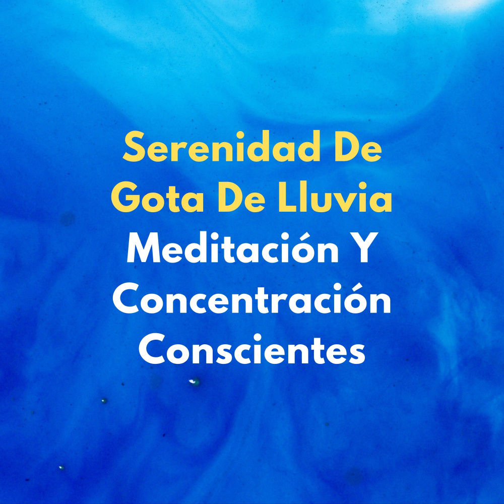 Meditación En La Mañana Brumosa