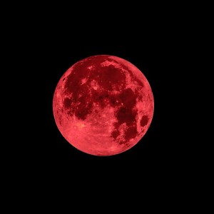 Album Blood Moon Party from Martin Smith