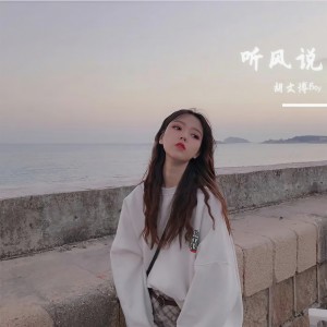 收聽胡文博BOY的聽風說 (DJ版)歌詞歌曲