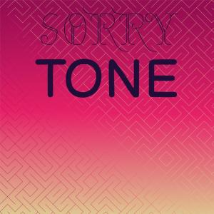 Various Artists的專輯Sorry Tone