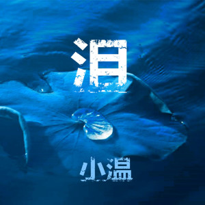 收聽小溫的淚歌詞歌曲
