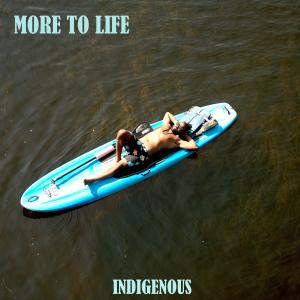 Indigenous的專輯more to life