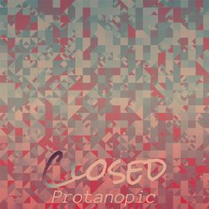 Various Artists的專輯Closed Protanopic