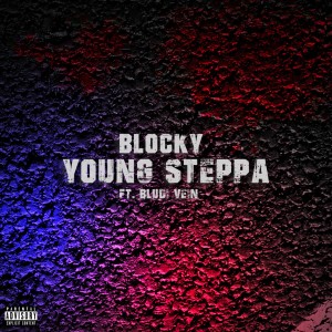 Listen to Young Steppa (feat. Bludi Vein) (Explicit) song with lyrics from Blocky