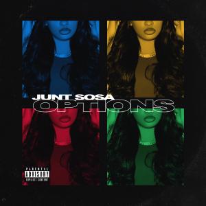 ดาวน์โหลดและฟังเพลง Options (Explicit) พร้อมเนื้อเพลงจาก Junt Sosa