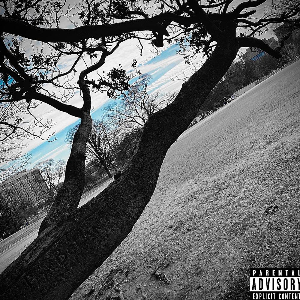Fallin (Explicit)
