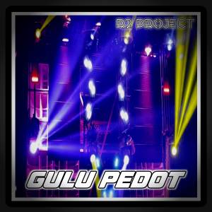 R2 Project的專輯DJ Gulu Pedot (Remix)