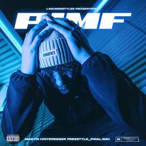 Listen to Martin Hinteregger Freestyle song with lyrics from Pimf