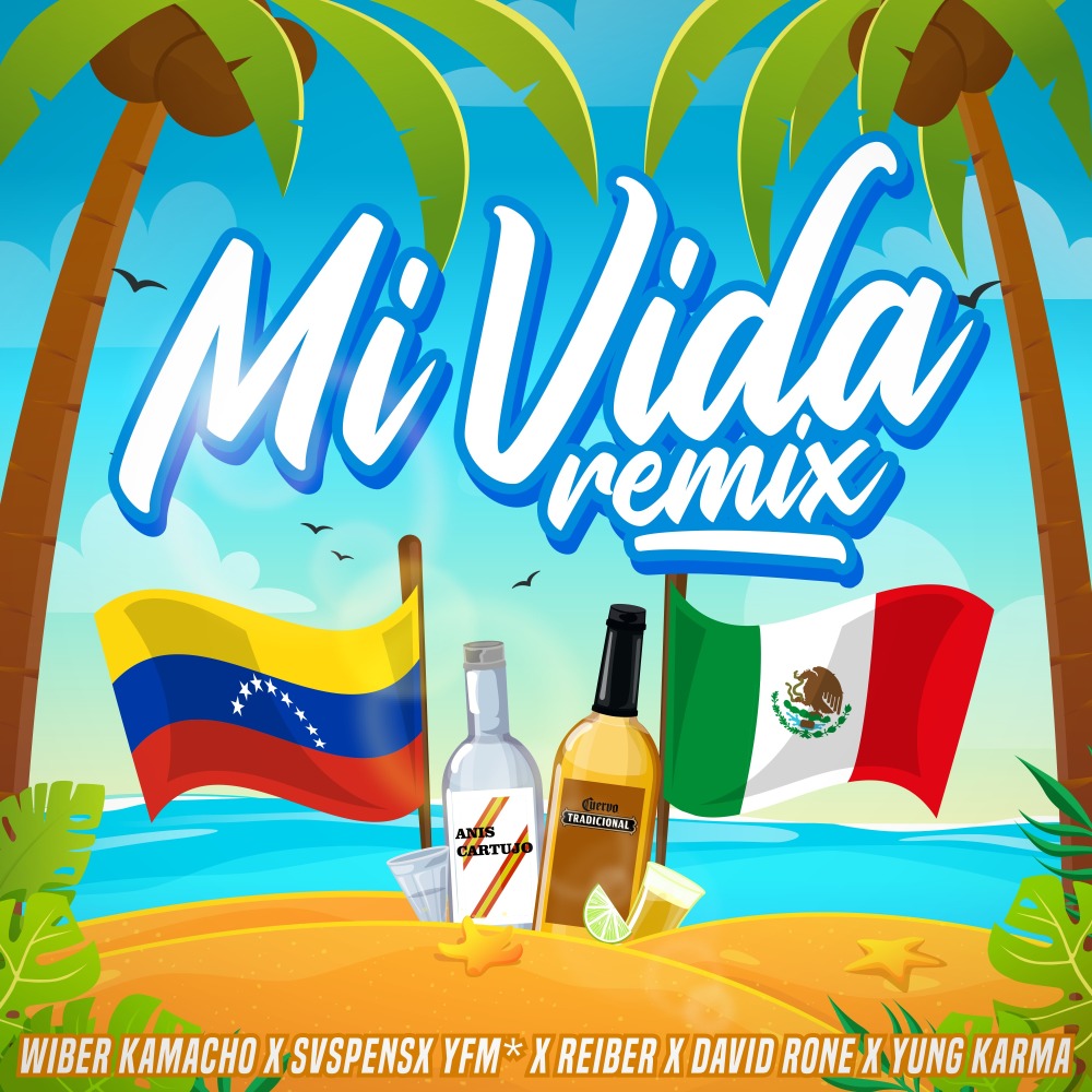 Mi Vida (Remix)